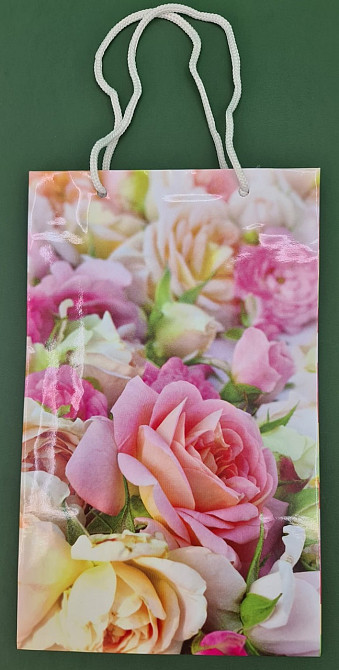 Паперовий пакет подарунковий Середній 17/26/8 (артSV-099) (12 шт.) Харків - фото 4