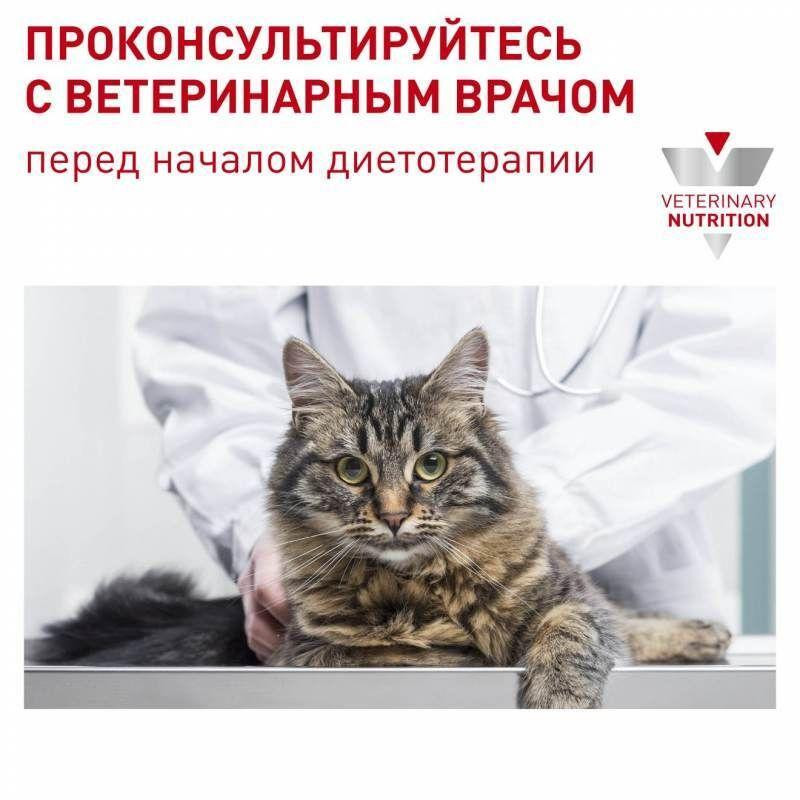 Royal Canin Neutered Maintenance (Роял Канин Ньютед Мэйнтенанс) влажный корм для стерилизованных кошек 0.085 кг. х 12 шт. Запорожье - изображение 7