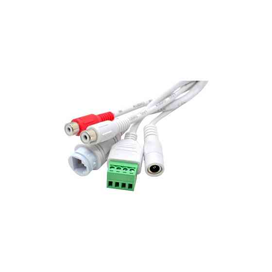 Купольная IP камера GV-174-IP-IF-DOS50-30 SDA Киев