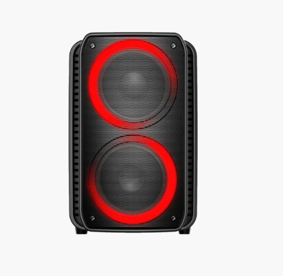 Портативна колонка 20W чорна Havit HV-SF132BT Житомир