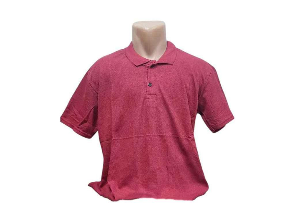 Футболка чоловіча батал арт.P0169-270206FT р.2XL бордо ТМ MODY Київ - фото 1