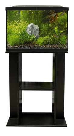 Подставка для аквариума SF Start Series Stand 70 BLACK (A4051020) Киев