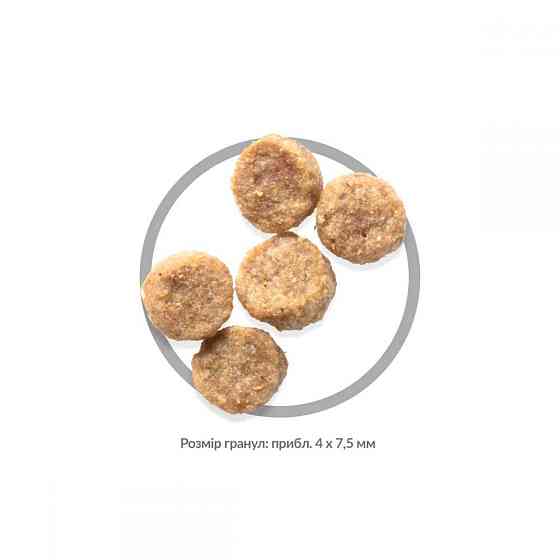 Корм для літніх собак Хіллс Hills SP Medium Mature Adult 7+ сухий корм для міні та малих порід собак з куркою 6 кг Вінниця