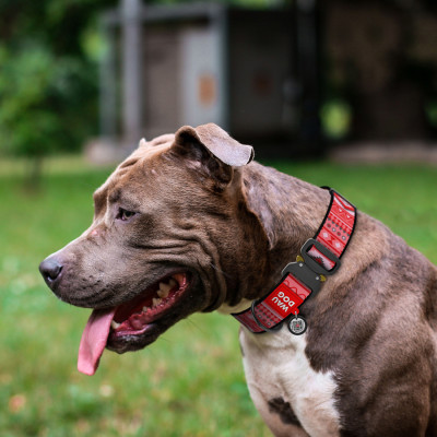 Ошейник для животных WAUDOG Nylon с QR паспортом "Этно красный" металлическая пряжка-фастекс XXL (4535-0133) Винница - изображение 3