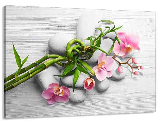 Картина холст в гостиную / спальню    Орхідея    MLP_38 50x100 см Киев