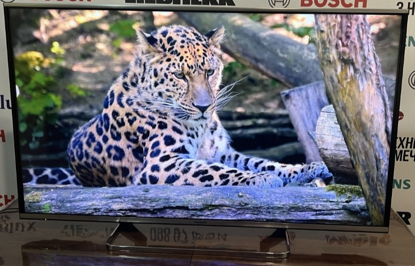 Телевизор Panasonic 50