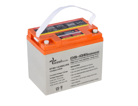 Гелевый Аккумулятор Weekender Ds 80Ah 12V С Дисплеем 25,4Кг Днепр - изображение 2