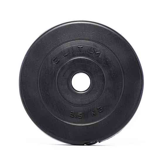 Гантелі Elitum 2 х 31кг Київ