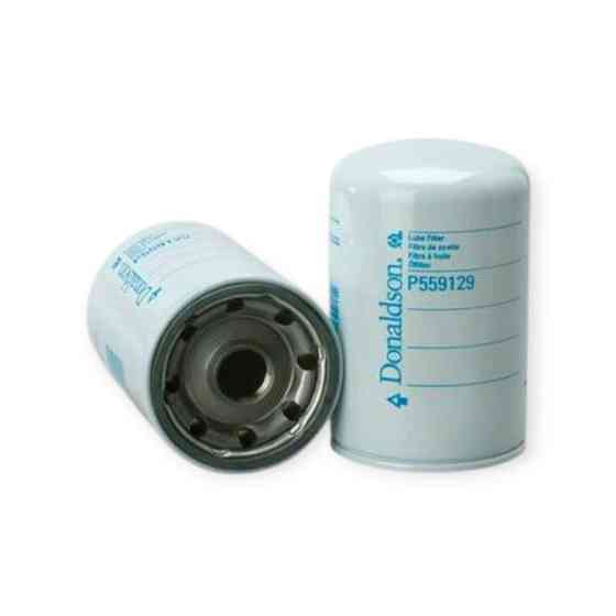 Фільтр P559129 CV2473 масляний Мукачево