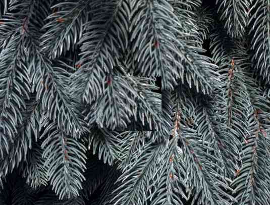 Гірлянда з хвої Преміум 1.5 м лита (Блакитна) Київ