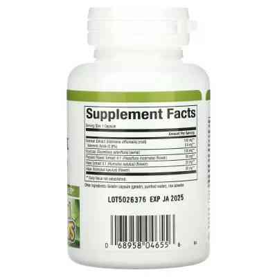 Витаминно-минеральный комплекс Natural Factors Сон и расслабление с валерианой и хмелем, Sleep Relax with Valeria (NFS-04655) Винница