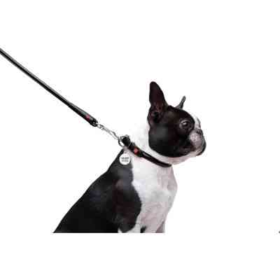 Поводок для собак WAUDOG Glamour круглый XS d 8 мм Д 122 см черный (33771) Винница