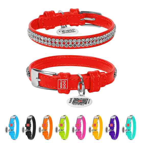 Нашийник для собак шкіряний WAUDOG Glamour з QR паспортом, з прикрасою "Полотно стрази", XS, Ш Коломия