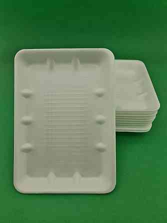 Лоток з вп (250 * 175 * 20) T-6-20 (250шт) Харків