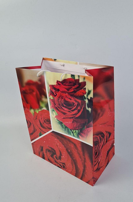 Подарочный  бумажный пакет Гигант (широкое дно )о 30/40/17(артGSD-49) (12 шт) Харьков - изображение 1