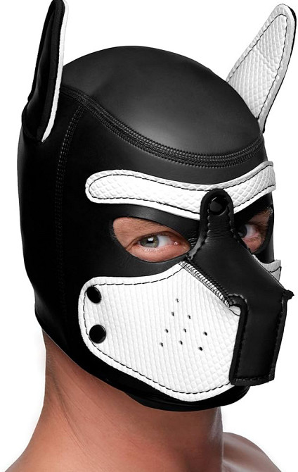 Маска собаки БДСМ 20487 Луцк - изображение 1