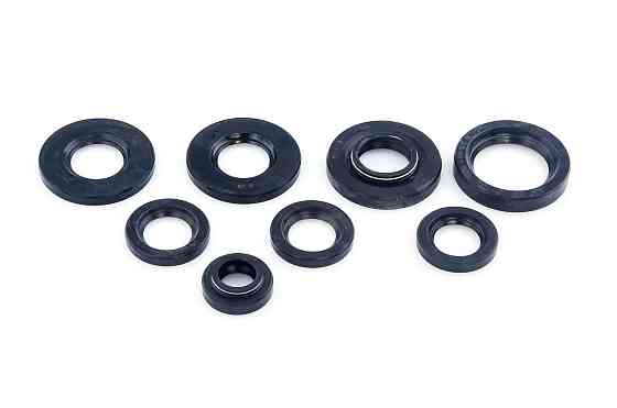 Сальники (набір) мотоцикл Іж Юпітер (8шт) Мукачево