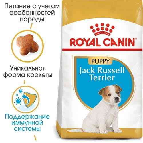 Royal Canin Jack Russell Terrier Puppy (Рояв Канін Джек Рассел Тер’єр Паппі) сухий корм для цуценят 1.5 кг. Запоріжжя