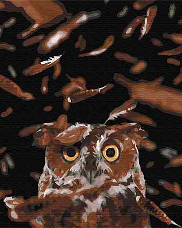 Розумна сова Київ