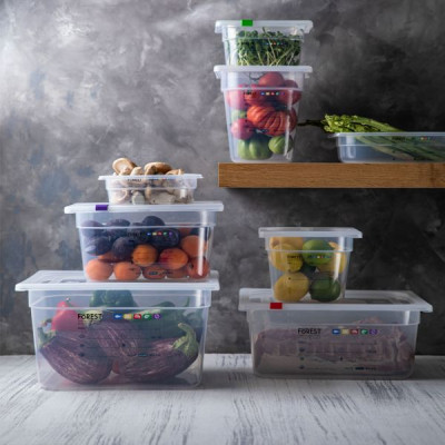 Гастроємність FoREST серія "Gastronorm" з поліпропілену GN 1/2 h 65 мм 4 л (241265) Вінниця - фото 2