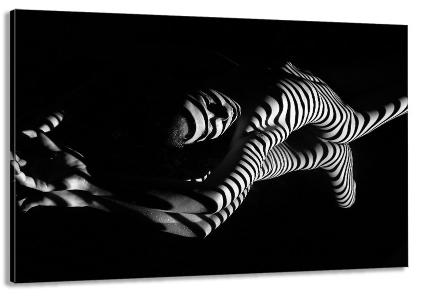 Картина холст в гостиную / спальню   Дівчина   MLP_226 50x100 см Киев - изображение 1