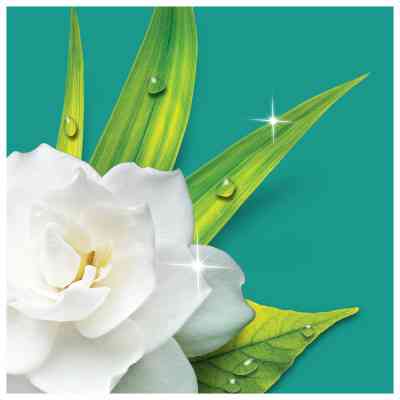 Засіб для миття підлоги Mr. Proper Ранкова роса 1.5 л (8006540208472) Вінниця