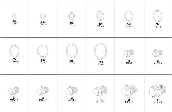 Набір маслозливних отворів з шайбами 534пр.(М10, М12-М16, М18, М20), в кейсі Одеса