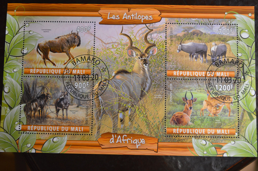 Мали. Марки. Фауна. Блок. 2020 год (В-2) Полтава - изображение 1