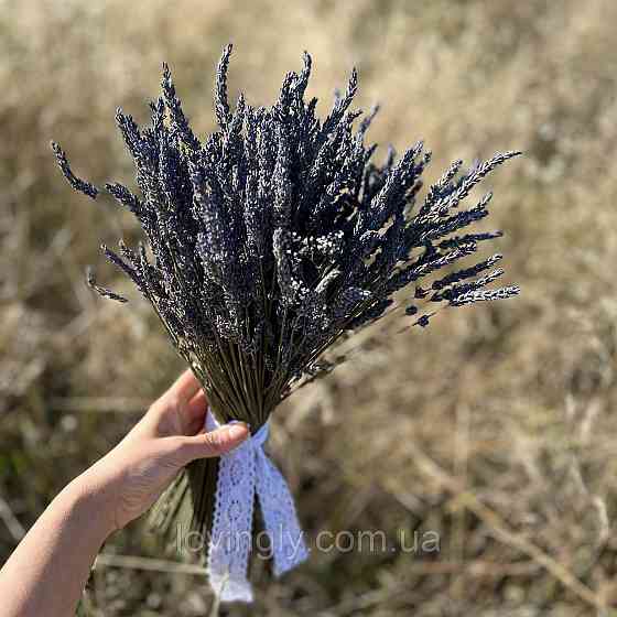 Сухоцвіт лавандину 500 г  натуральна лаванда для декору та букетів Ірпінь