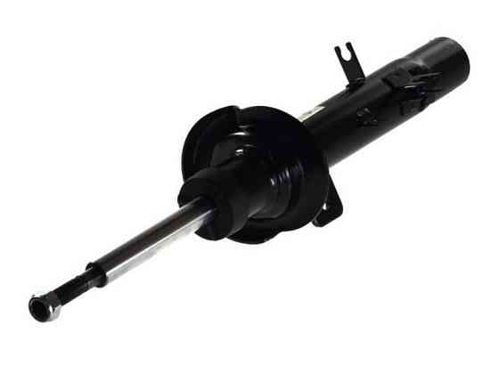 Амортизатор передній правий Raiso (Швеція) Citroen C2, Сітроен Ц2    02-09    #RS312419 UAYDMWA22 Ковель