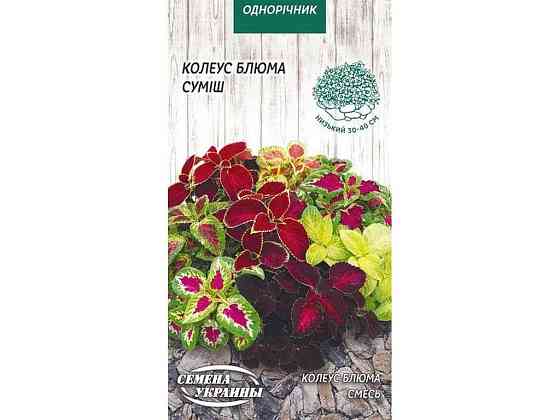 Колеус Блюма (суміш) ОД 0,05г (10 пачок) ТМ НАСІННЯ УКРАЇНИ Київ
