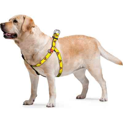 Шлея для собак WAUDOG Nylon з QR паспортом анатомічна "Супермен 2" M (0720-2014) Вінниця