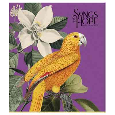 Тетрадь Школярик Birds 60 листов клетка (060-3410K) Винница