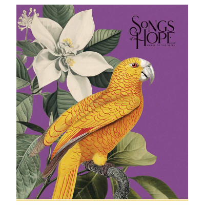 Тетрадь Школярик Birds 60 листов клетка (060-3410K) Винница - изображение 3