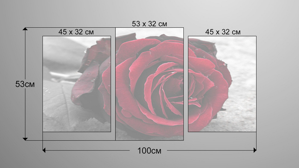 Модульная картина Роза Art-32_3 Киев - изображение 3