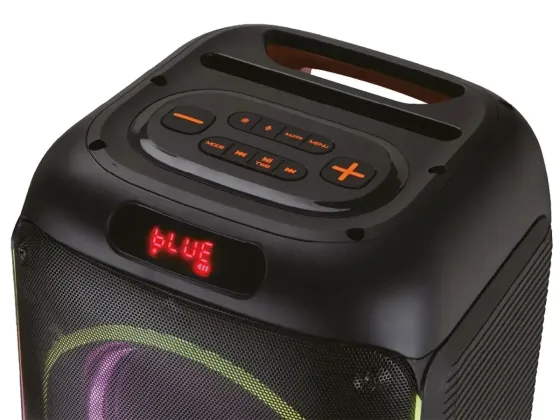 Акустична переносна колонка ZXX-5502 800Вт 1x8" 285х270х365мм TWS/FM/USB/TF/BT/LED/MIC Київ