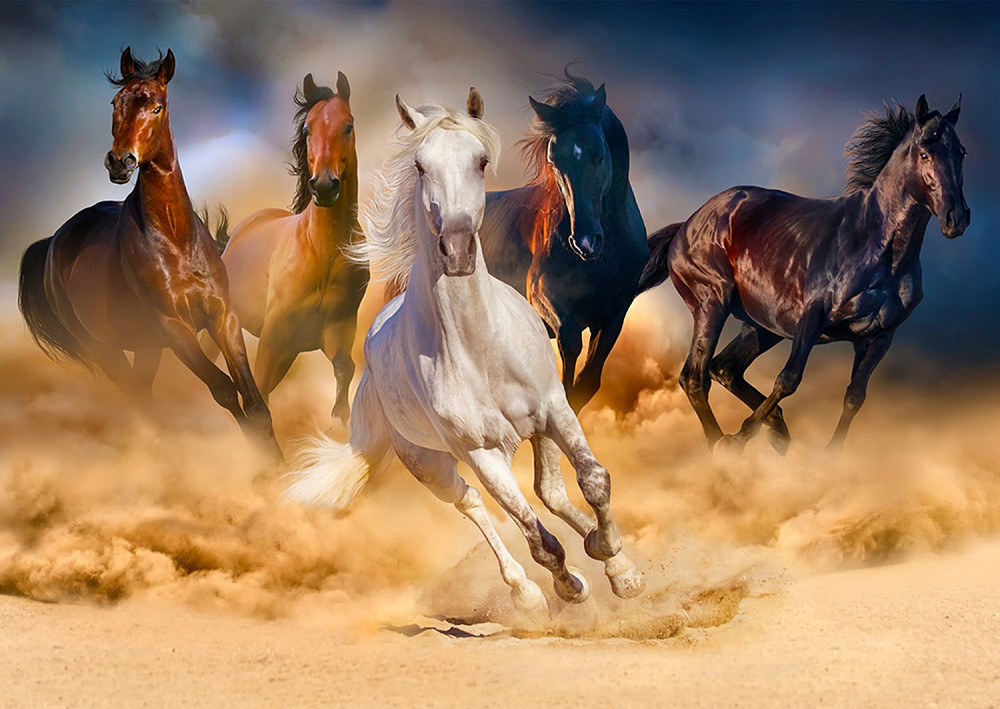 Пазл Коні, що біжать пустелею - Horses Running in the Desert (Enjoy-1356) Киев - изображение 3