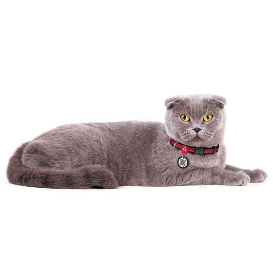 Нашийник для собак нейлоновий WAUDOG Nylon з QR паспортом, малюнок "Кавун", пластиковий фастекс Коломыя