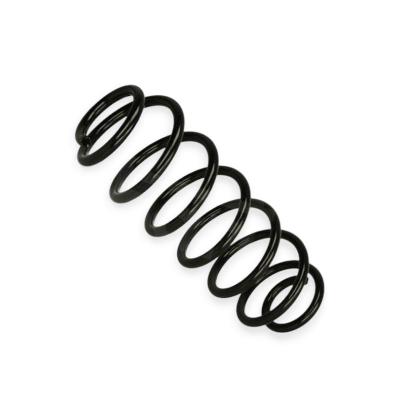 Пружина Ford Fiesta VI (фургон, НВ) 08- задняя Мукачево - изображение 1