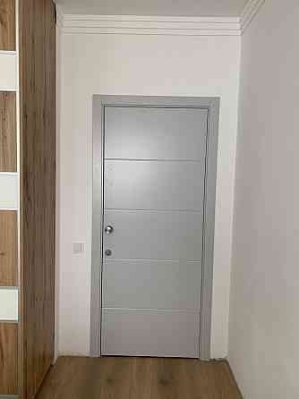 Двери крашенные, Полотно, серия Line (LINE-4) Киев