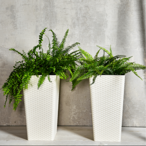 Вазон Ротанг 22*22*41,5см квадратний біла троянда Алеана Житомир