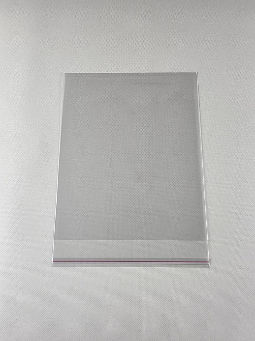 Пакети з клейкою стрічкою 21см 26см 25мк (1000 шт) Харків - фото 1