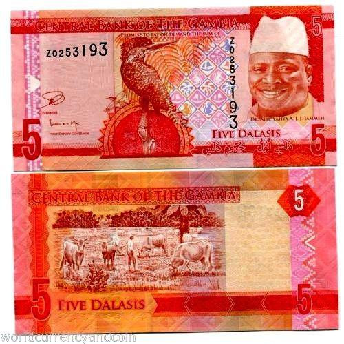 Gambia Гамбия - 5 Dalasis 2015 UNC Полтава - изображение 1