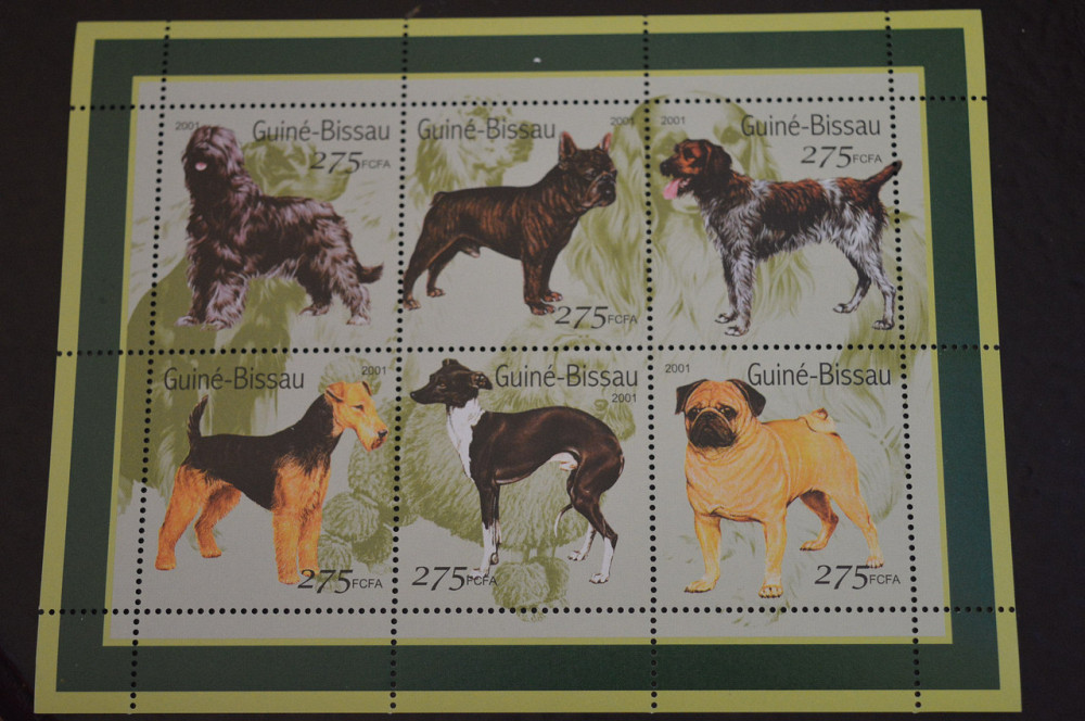 Гвинея. Фауна. Блок. 2015 рік (В-7) Полтава - фото 1