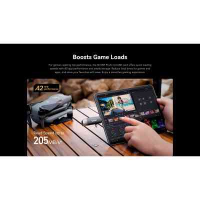 Карта памяти Lexar 128GB microSDXC class 10 UHS-I U3 V30 A2 Professional Silver (LMSSIPL128G-BNANG) Винница