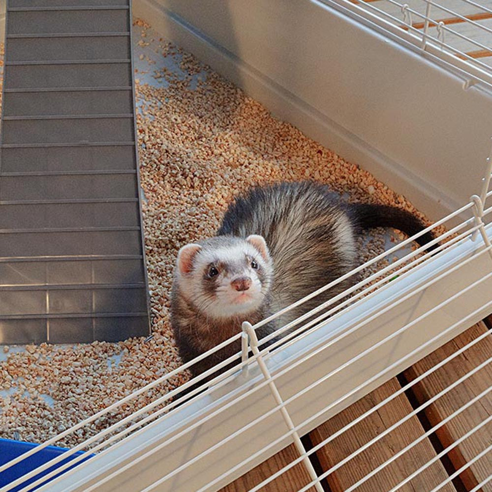 Двоповерхова карта для тхорів і шиншил Ferplast Furet Tower (Ферпласт Фюрет Тавер) Запоріжжя - фото 8