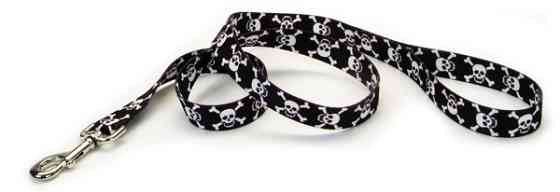 Coastal Pet Attire Styles КОСТАЛ СТАЙЛС поводок для собак, 2.5смХ1.2м Киев