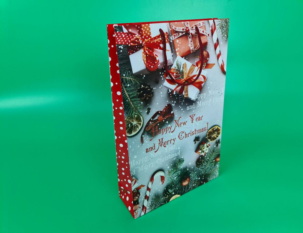 Большой бумажные пакет вертикальный 25/37/8 новогодний -001 (12 шт) Харьков - изображение 1