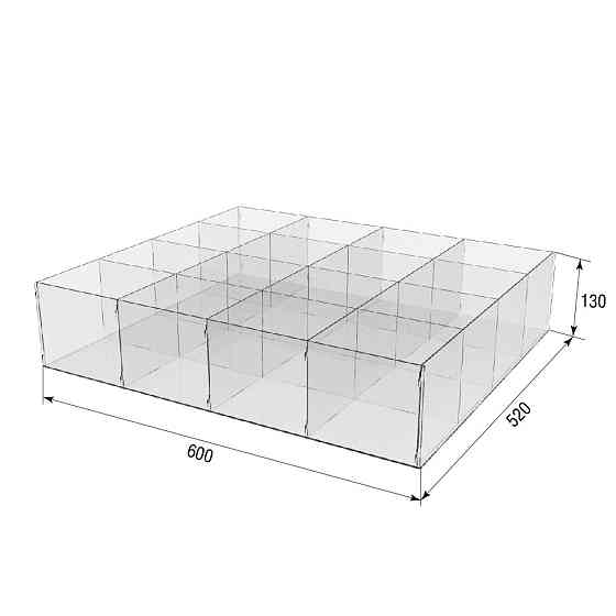Коробка акриловая EKOSTAR 600х520х130 16 ячеек Киев