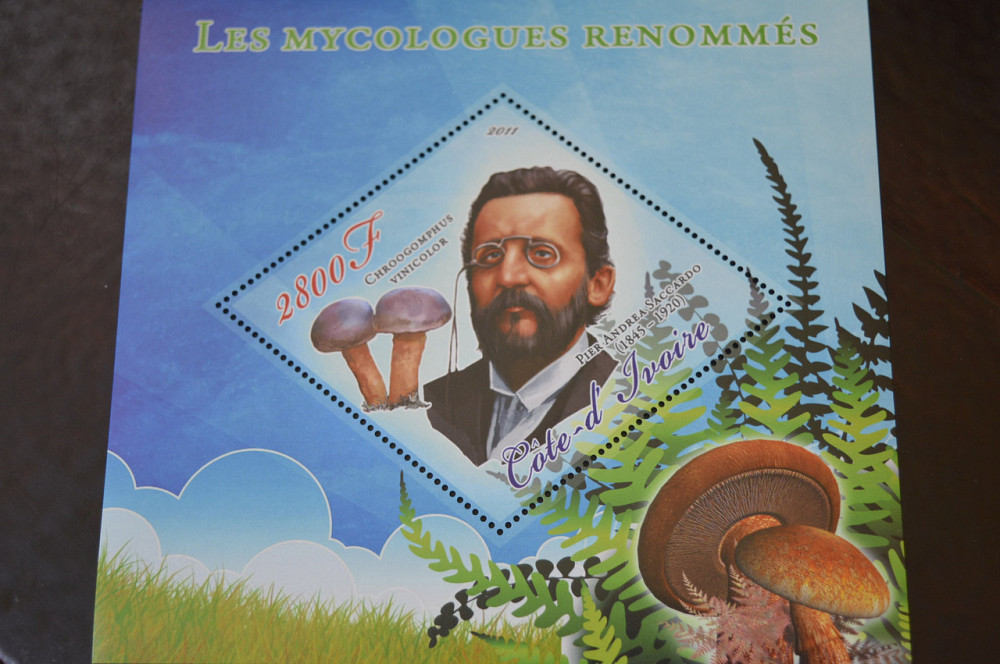 Марки. Особистості. Блок. 2011 рік (А-15) Полтава - изображение 1